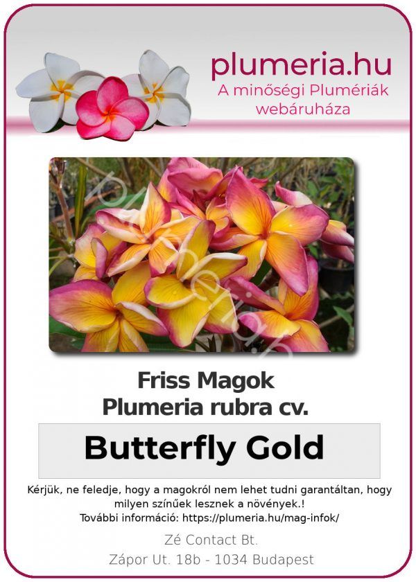 Plumeria rubra "Butterfly Gold"