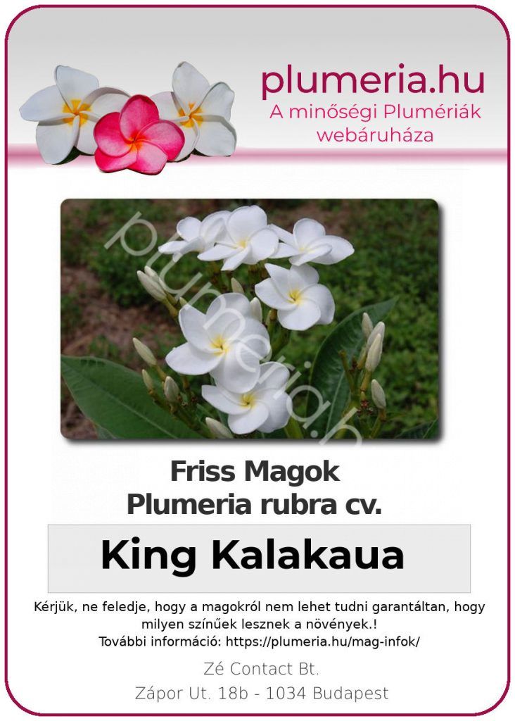 Plumeria rubra "King Kalakaua"