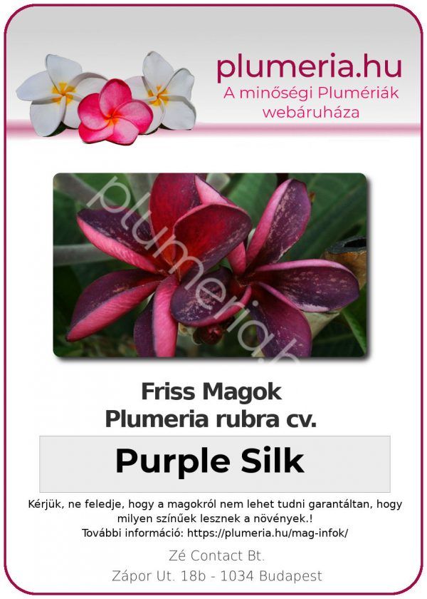 Plumeria rubra "Purple Silk"