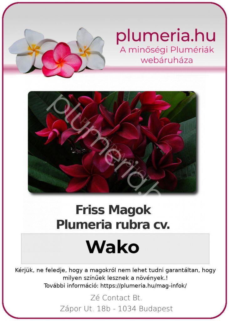 Plumeria rubra "Wako"