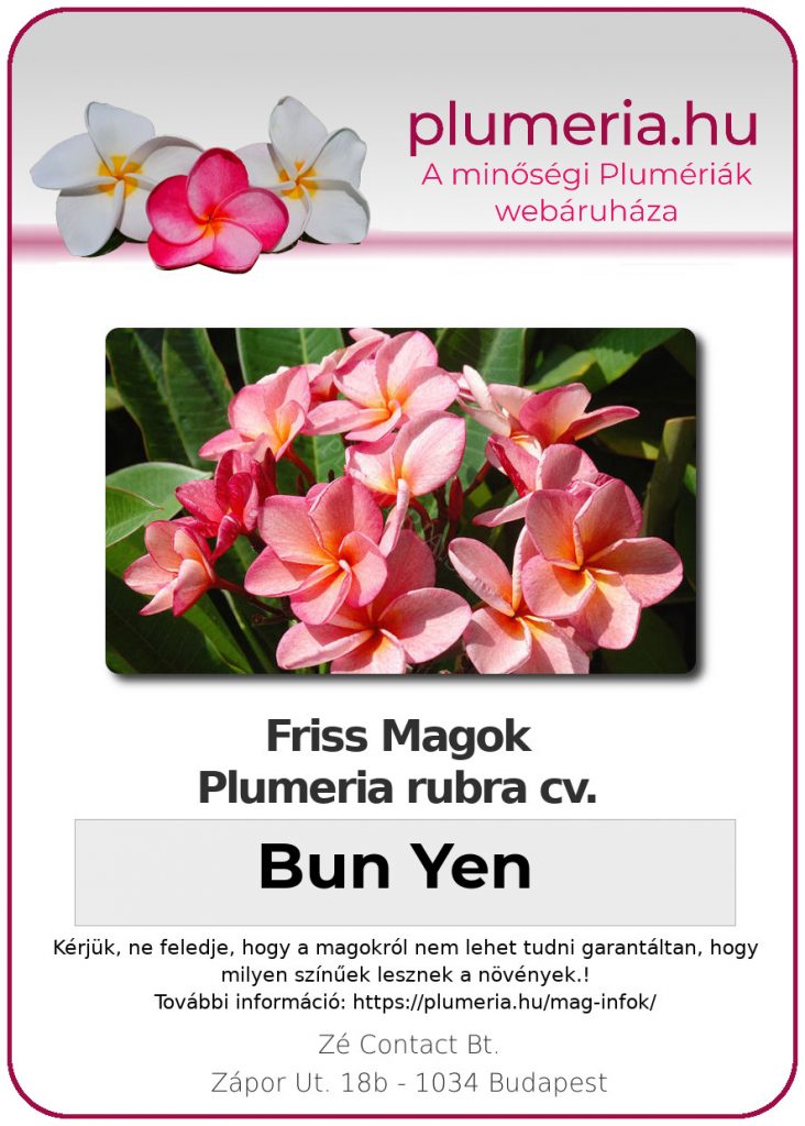 Plumeria rubra "Bun Yen"