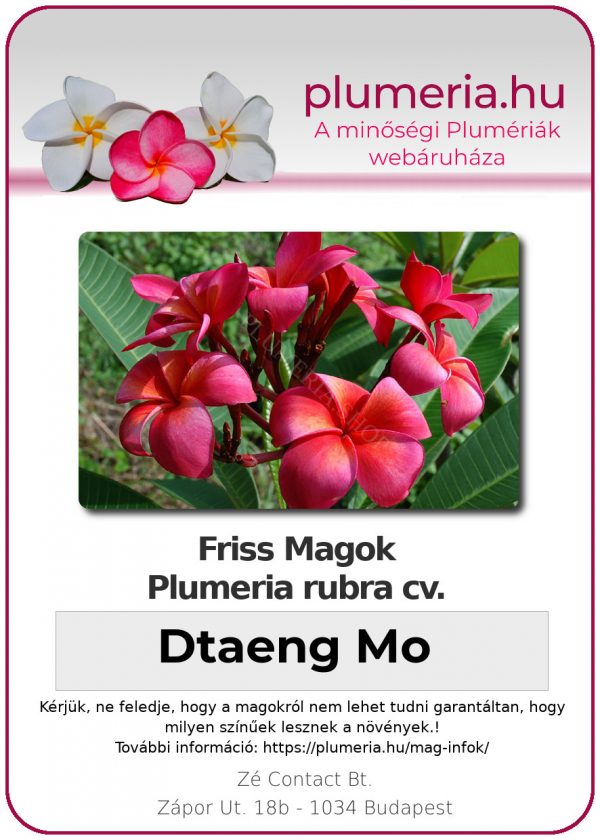 Plumeria rubra "Dtaeng Mo"