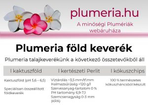 Plumeria föld