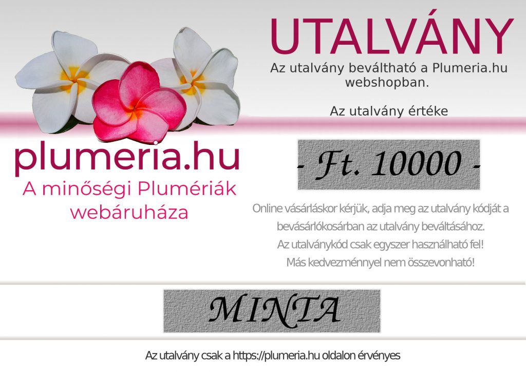 Ajándékutalvány - 10.000Ft.