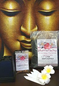 Plumeria mag kezdö csomag