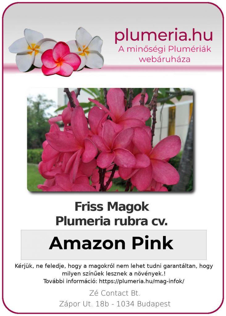 Plumeria rubra "Amazon Pink"