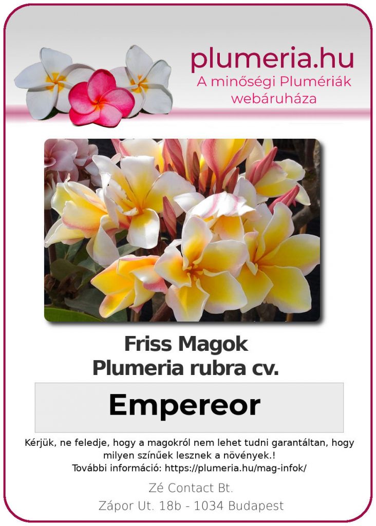 Plumeria rubra "Empereor"