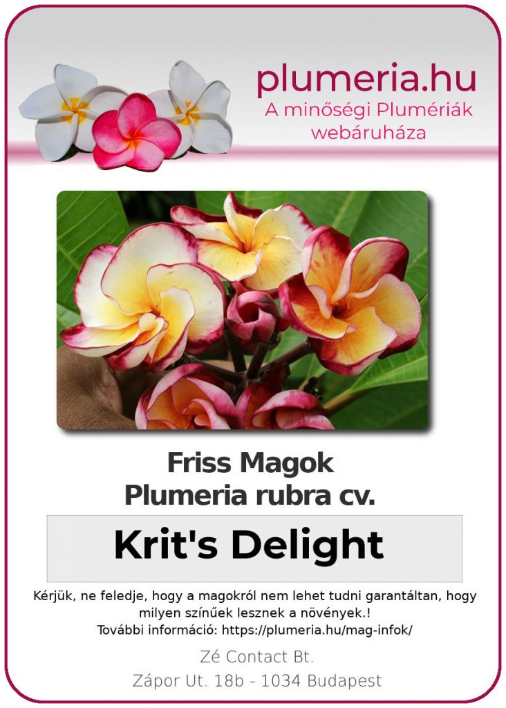 Plumeria rubra "Krit's Delight"