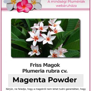 Plumeria powder "Magenta Powder"
