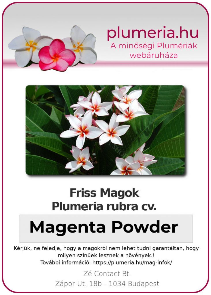 Plumeria rubra "Magenta Powder"