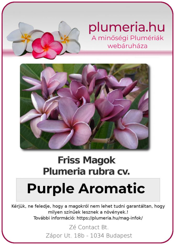 Plumeria rubra "Purple Aromatic"