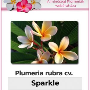 Plumeria rubra "Sparkle"