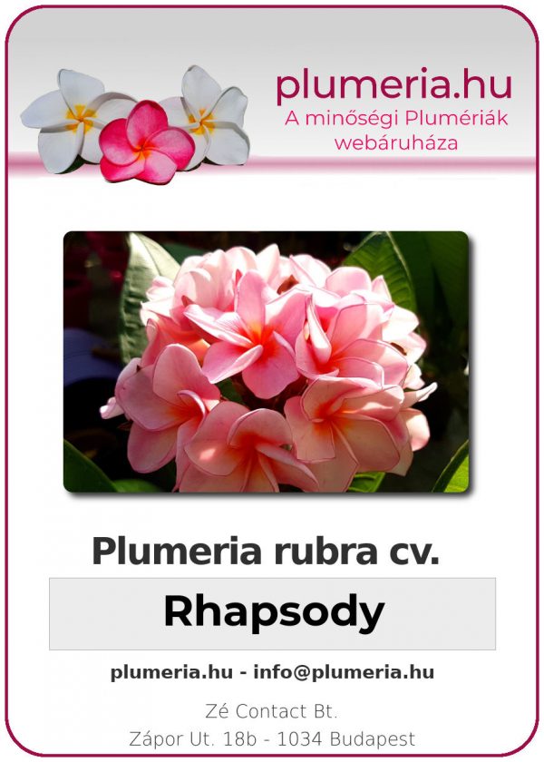 Plumeria rubra "Rhapsody"