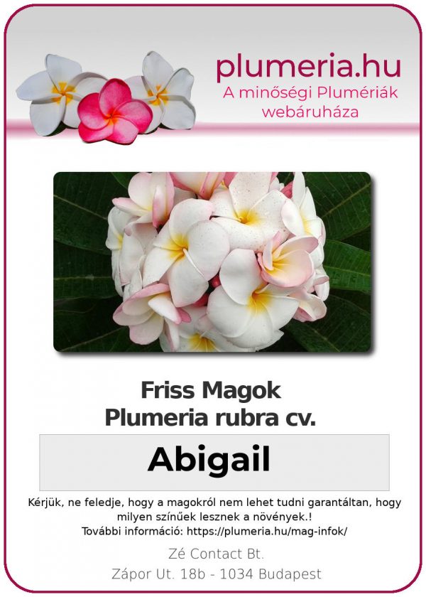 Plumeria rubra "Abigail"