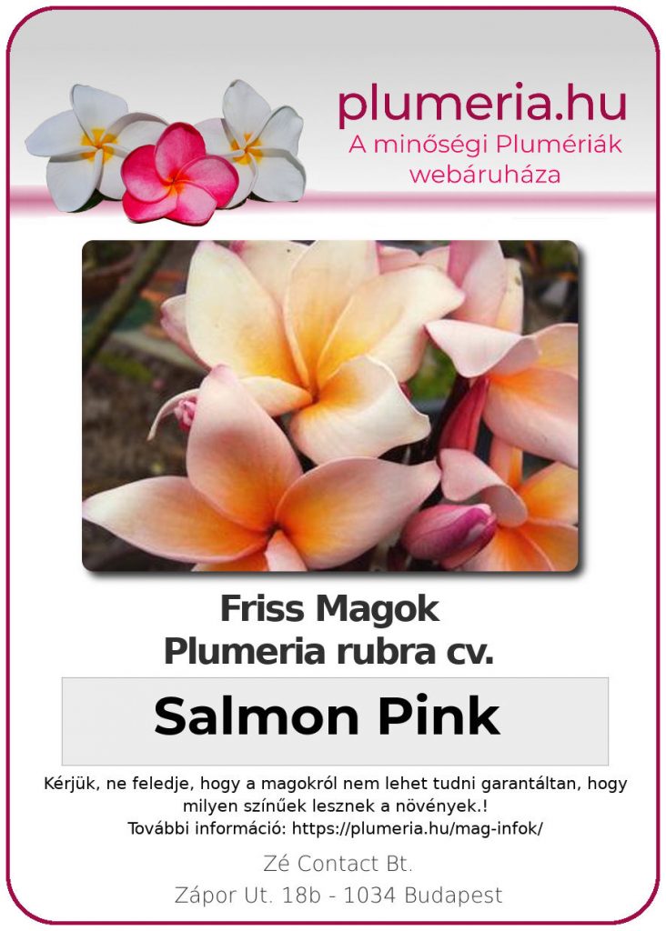 Plumeria rubra "Salmon Pink"