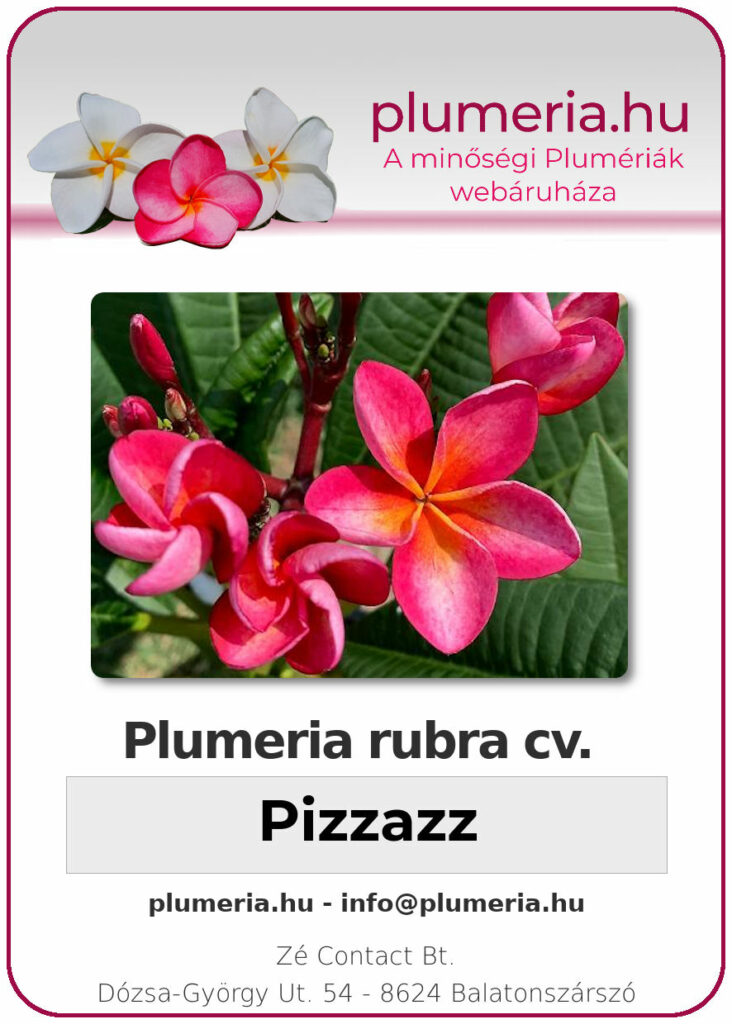 Plumeria rubra "Pizzazz"