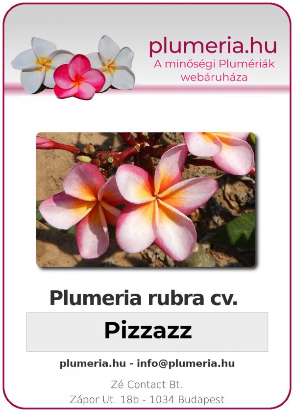 Plumeria rubra - "Pizzazz"