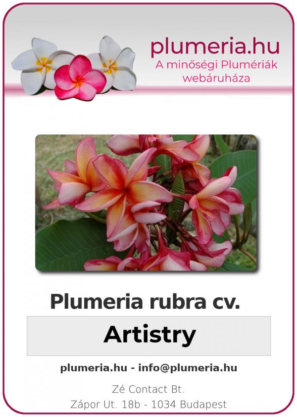 Plumeria rubra - "Artistry"