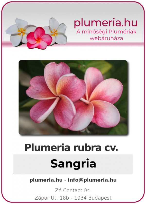 Plumeria rubra - "Sangria"