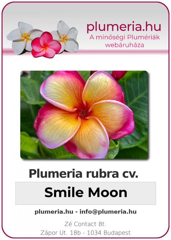 Plumeria rubra - "Smile Moon"