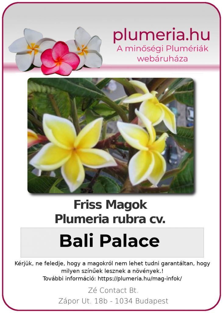 Plumeria rubra "Bali Palace"