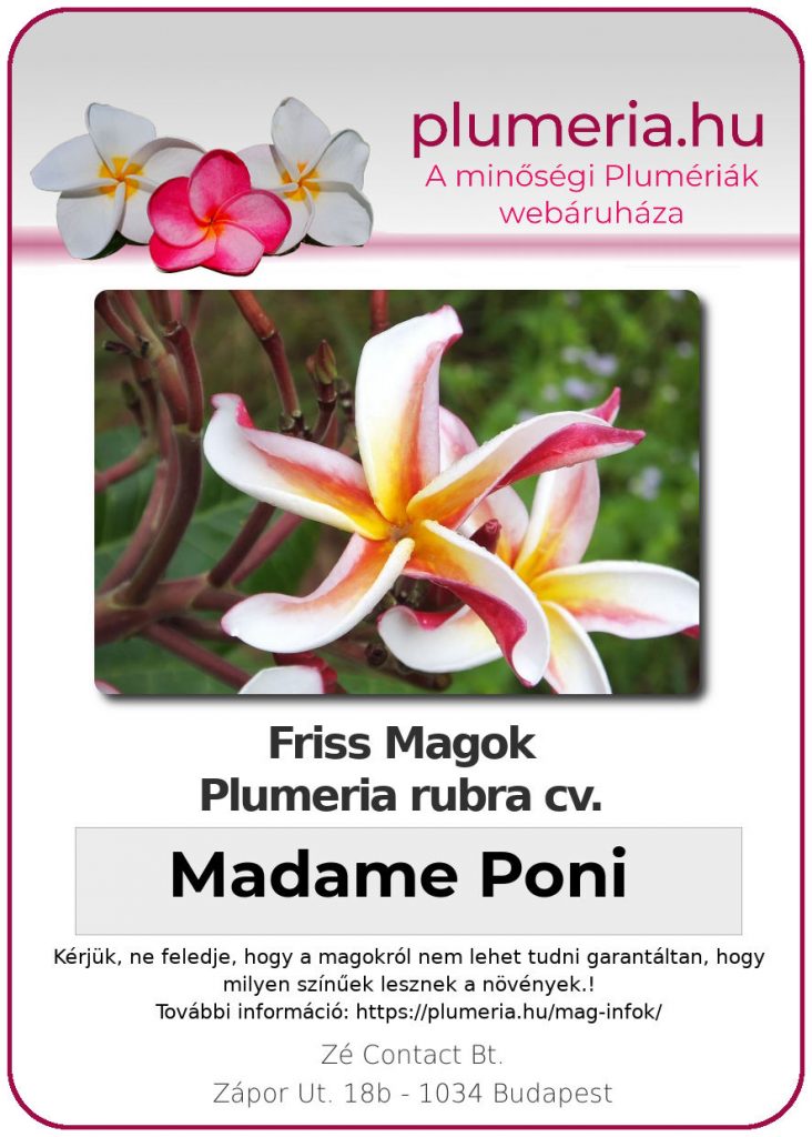 Plumeria rubra "Madame Poni"