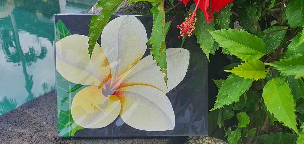 Kézzel festett kép Plumeria - Frangipani virág