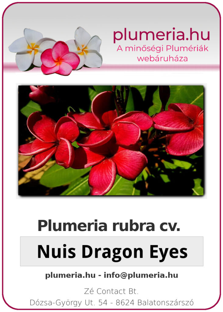 Plumeria rubra "Nui's Dragon Eyes"