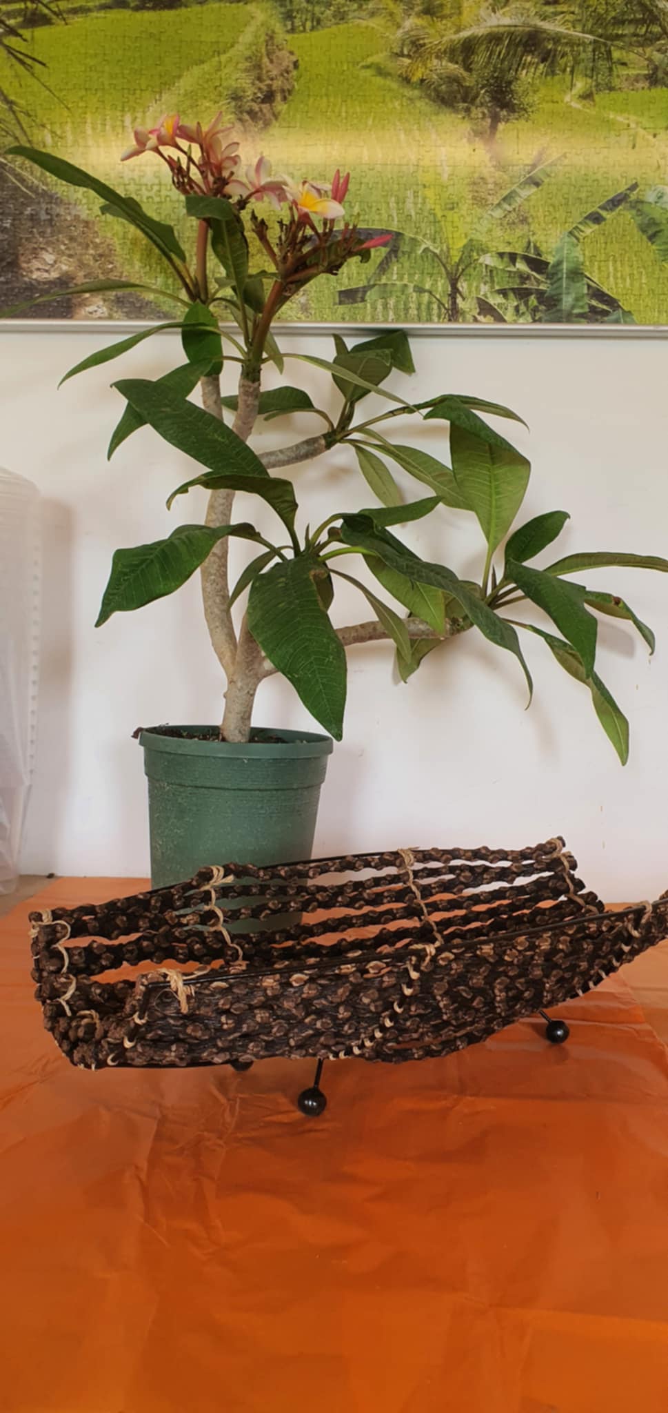 Asztali dekoráció növényi indákból