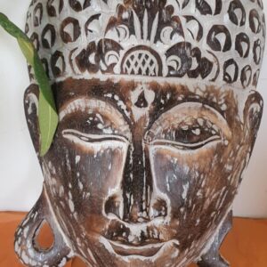 Albézia fából készült Budha