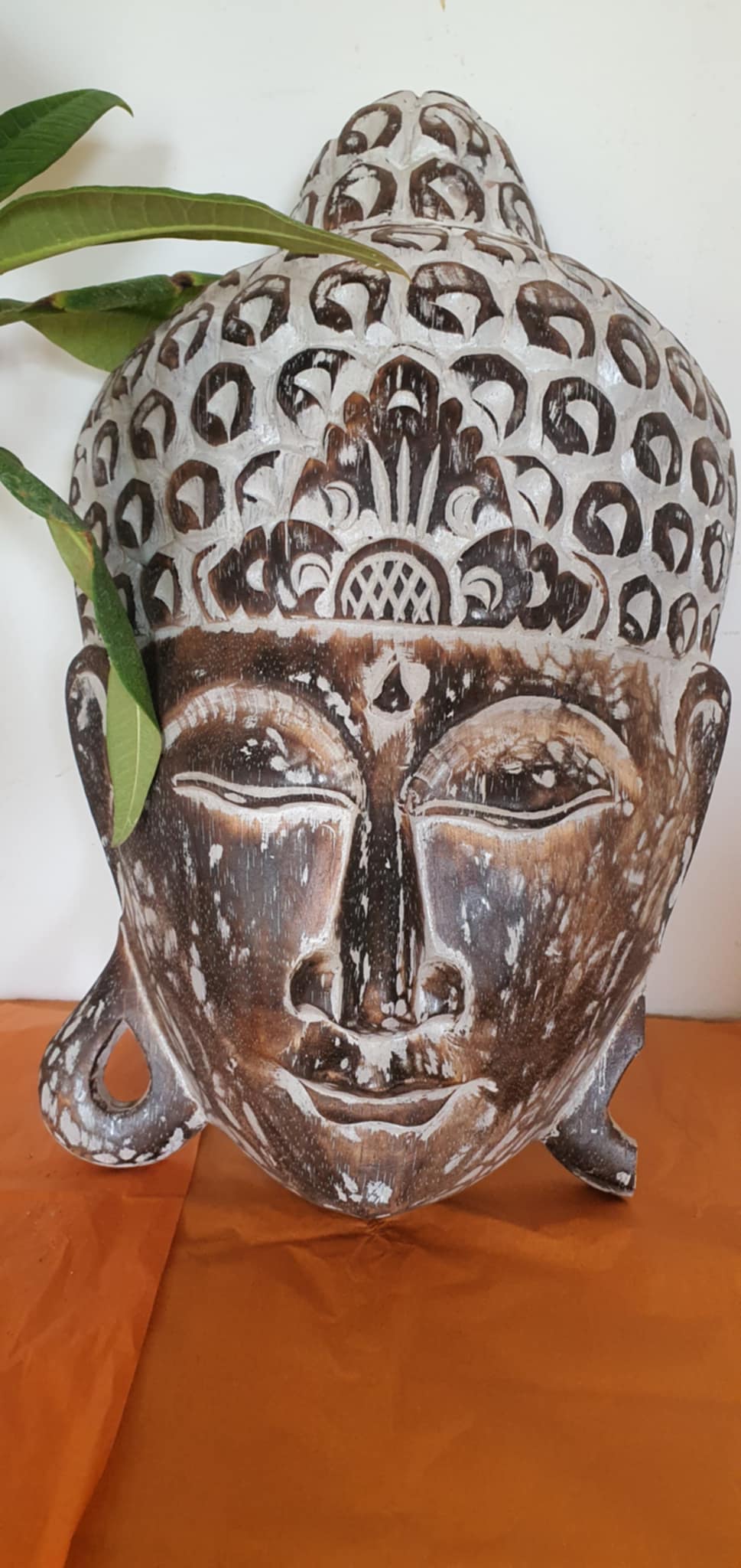 Albézia fából készült Budha