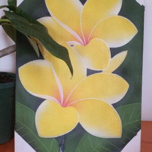 Kézzel festett kép  - Plumeria virág