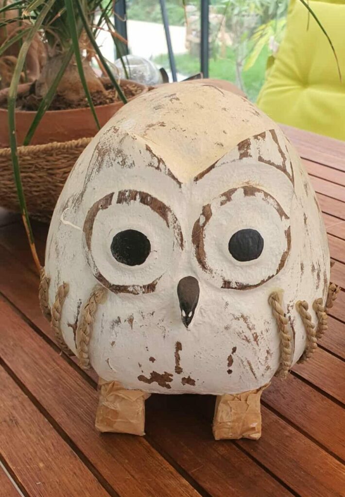 Bagoly-kókuszdióból-fehér, nagy