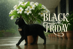 Black Friday 2025