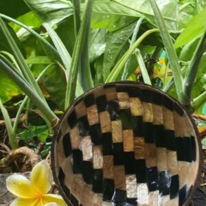 kókusztál kagylóval