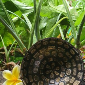 kagylóval bélelt kókusz tál