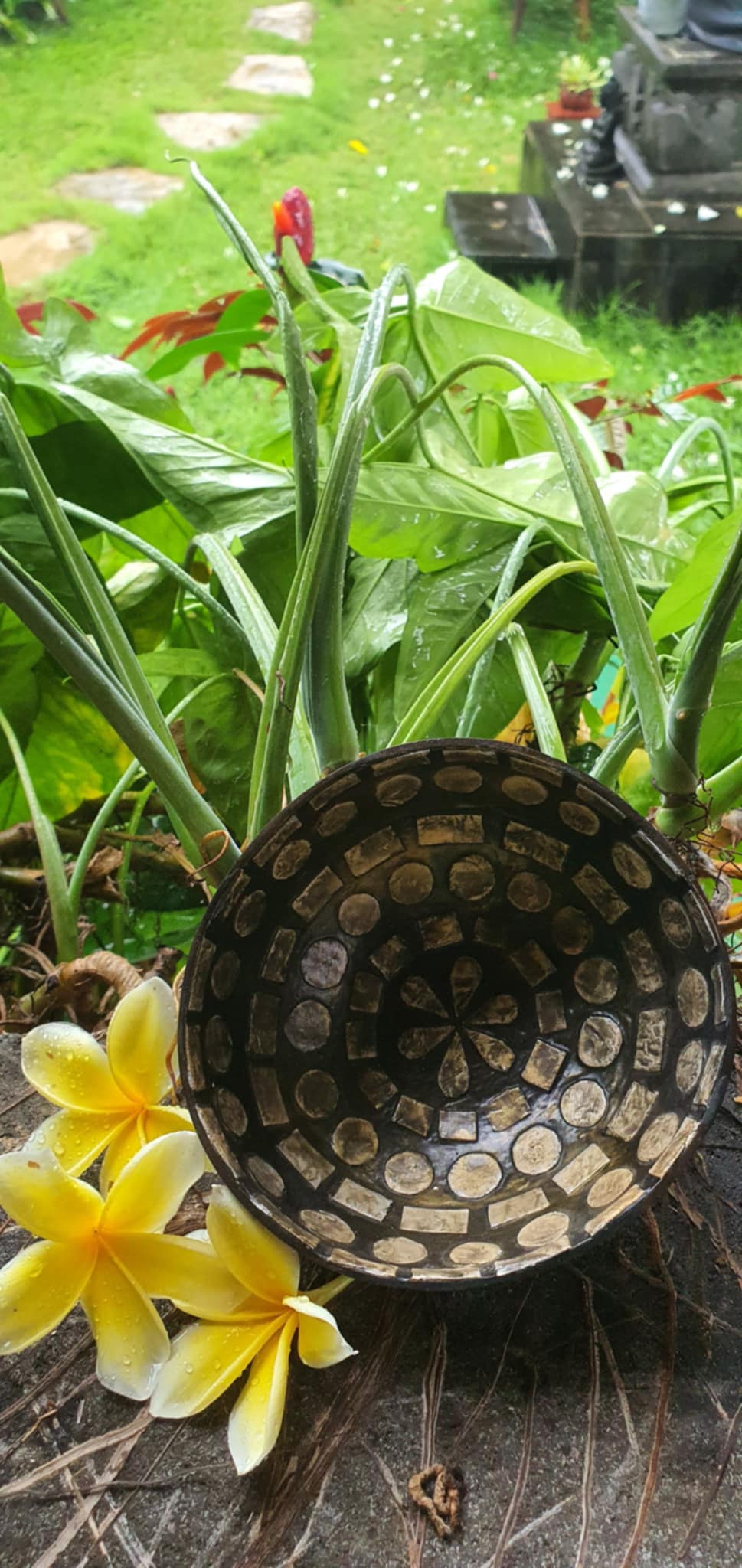 kagylóval bélelt kókusz tál