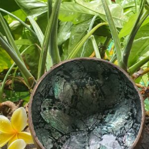 kagylós kókusztál