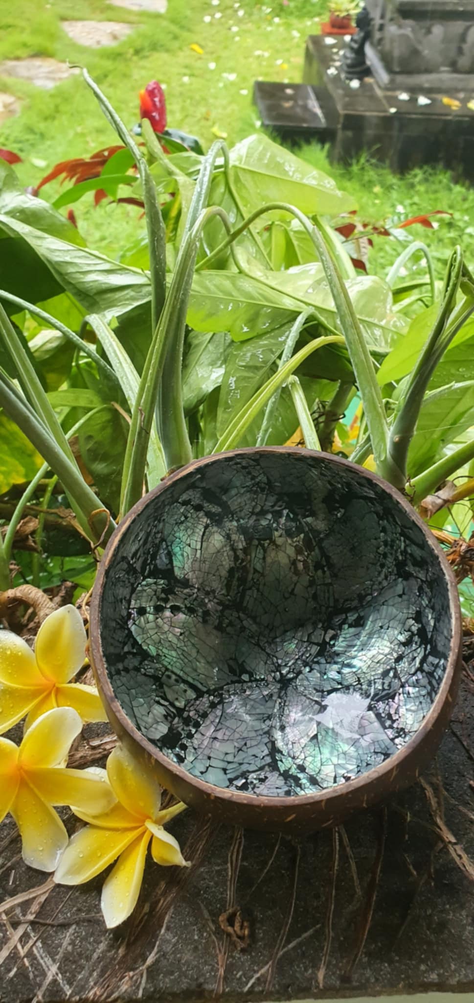 kagylós kókusztál