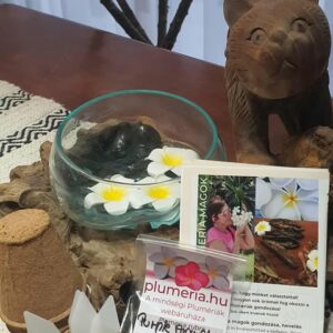 plumeria magcsomag-lebomló cserép