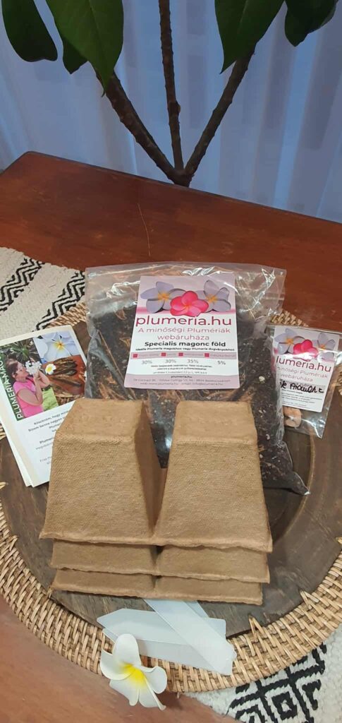 Plumeria kezdő  magcsomag - négyzetalakú-lebomló cseréppel