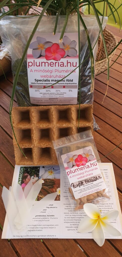 Plumeria kezdő  magcsomag - 12 db szett-ültetőtálcával