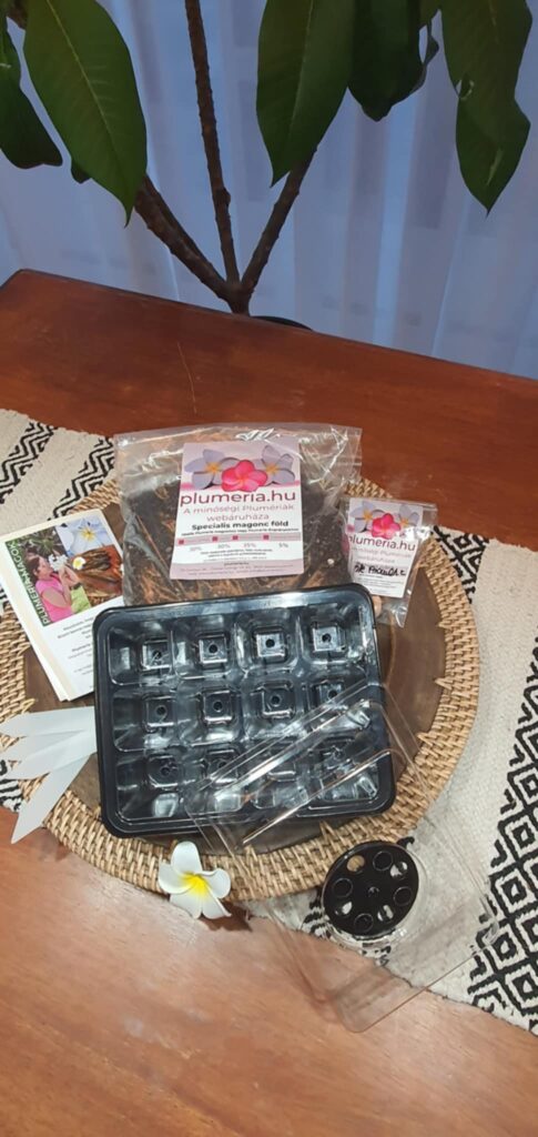 Plumeria kezdő  magcsomag - 12 db szett- MINI üvegházzal
