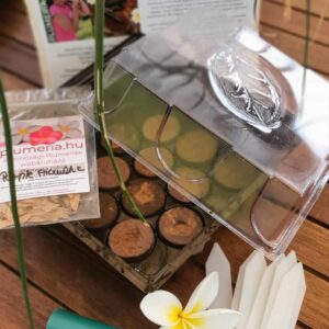 Plumeria magcsomag mini üvegházzal-ültető közeggel