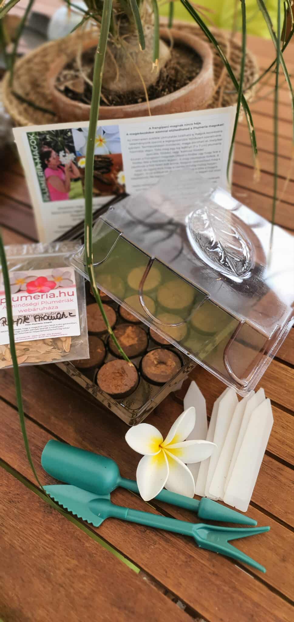 Plumeria magcsomag mini üvegházzal-ültető közeggel