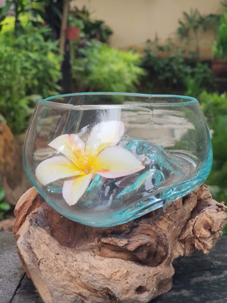 Üveg tál, trópusi fagyökéren közepes