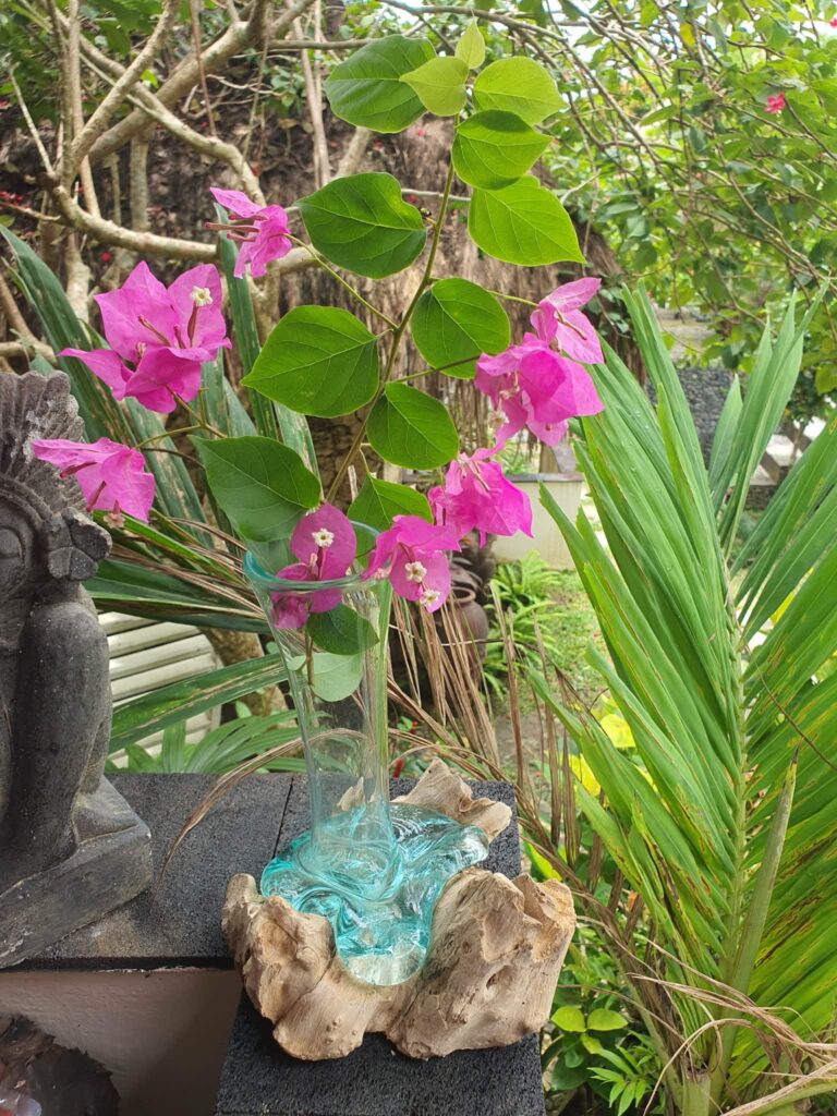 Üveg váza, trópusi fagyökéren